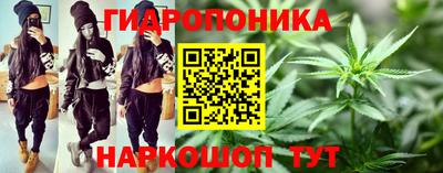 эйфоретик Нальчик