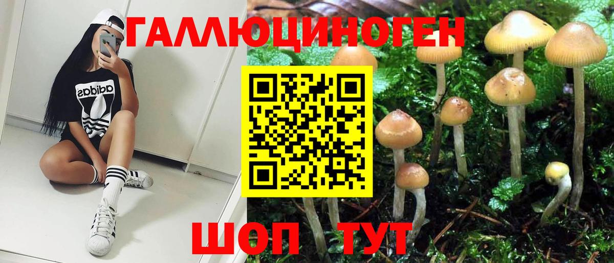 Псилоцибиновые грибы Cubensis Черкесск